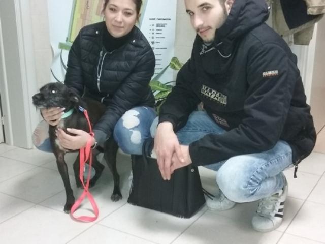 Lilly e la sua nuova famiglia